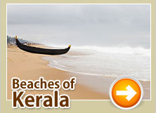 Kerala Tour Operators